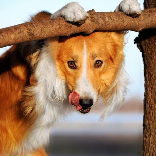 Hd-135639-ascw135639