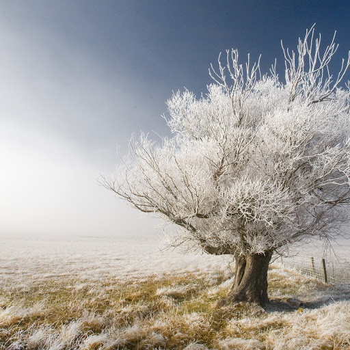 Hd-145552-ascw145552