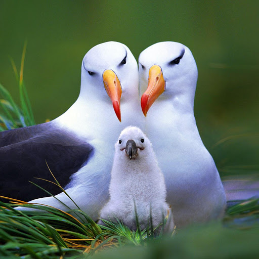 Hd-178195-ascw178195