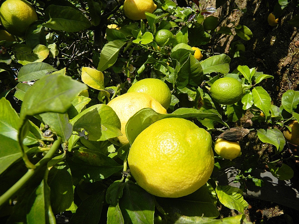 [DSCN3291%2520-%2520Kopie%255B5%255D.jpg]