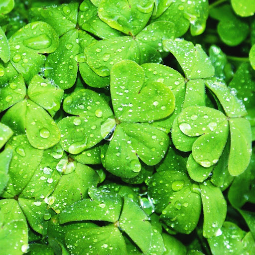 Hd-147099-ascw147099