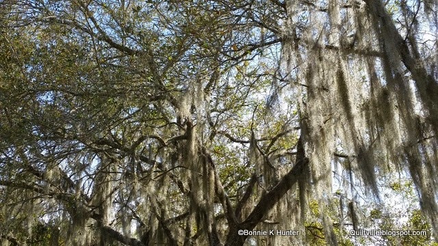 [20150308_155915%255B3%255D.jpg]