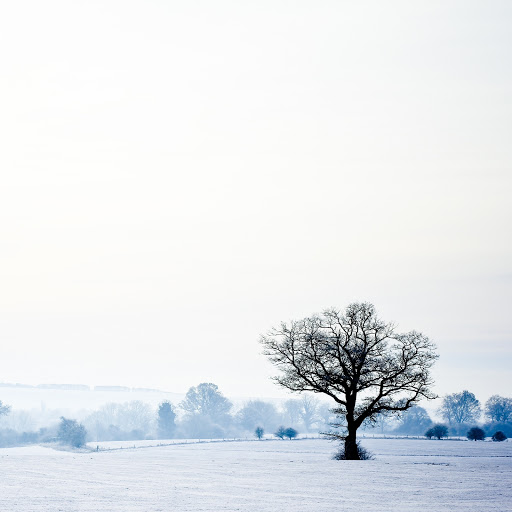 Hd-159054-ascw159054