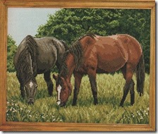 caballos-pastando caballos-pastando