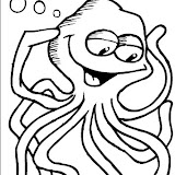 Octopus.jpg