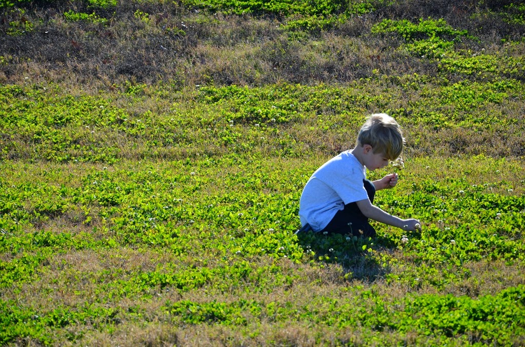 [DSC_6064%255B4%255D.jpg]