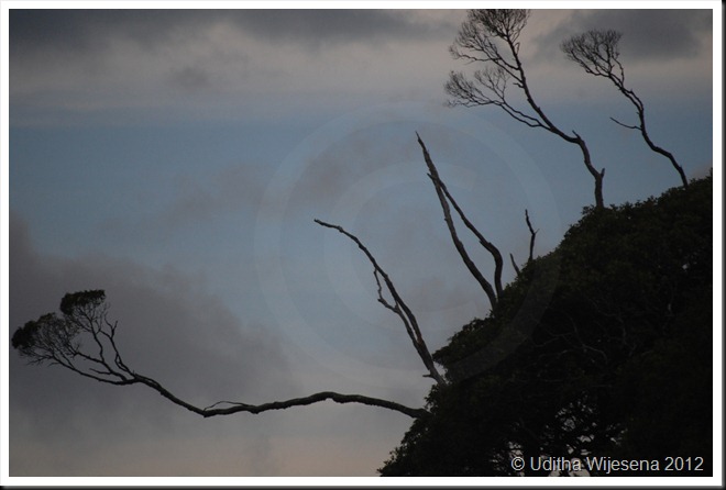 DSC_0080 DSC_0080