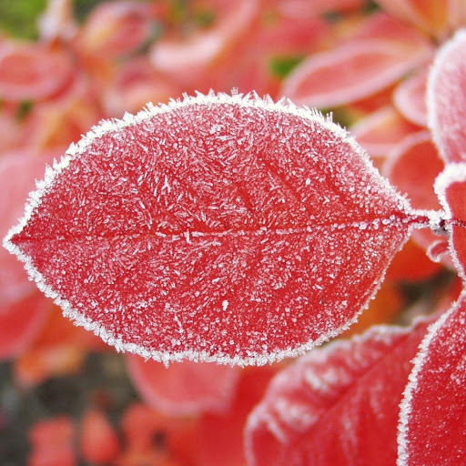 Hd-180878-ascw180878