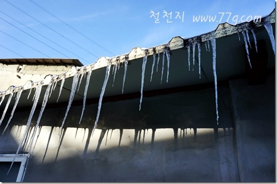 철천지DSC05520-20121226-135447