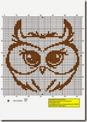 owl 21