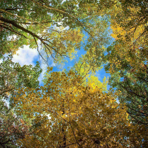 Hd-164566-ascw164566