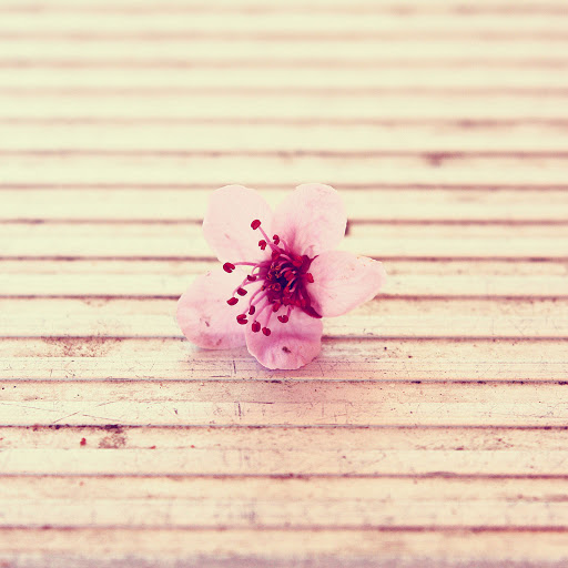 Hd-170661-ascw170661