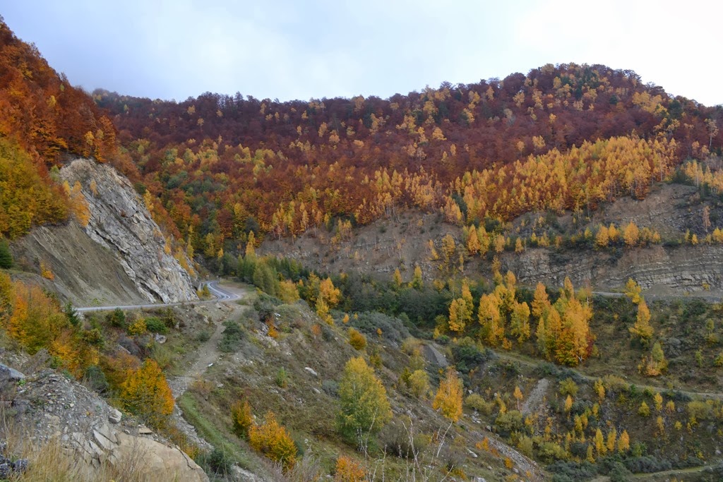 [DSC_007531.jpg]