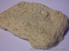 einkorn-oatmeal-bread 013