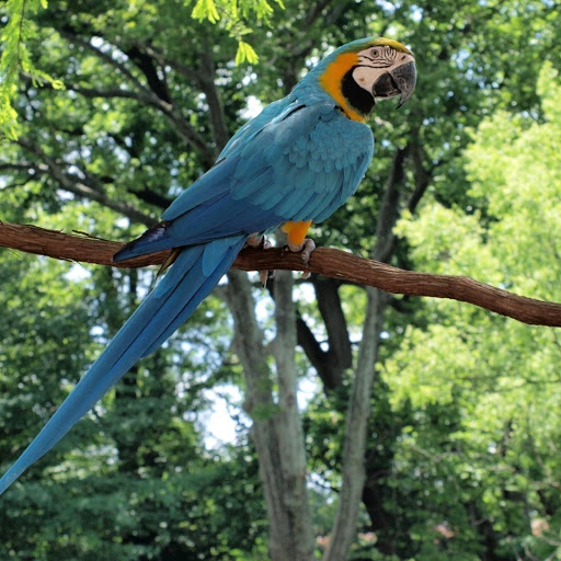 Hd-178053-ascw178053