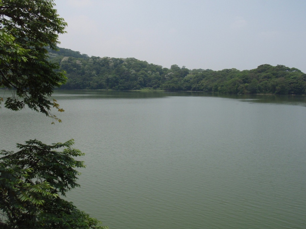 [P5015301.jpg]