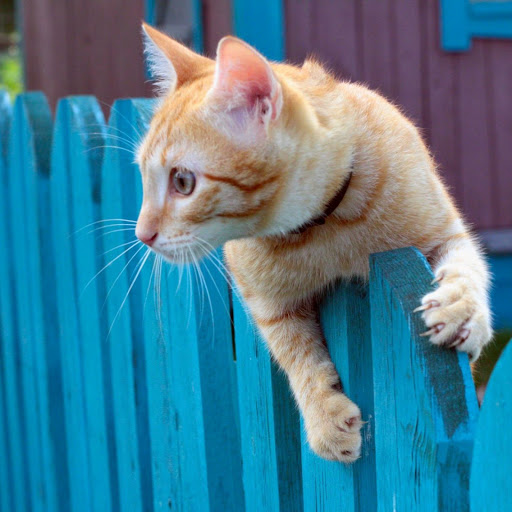 Hd-165589-ascw165589