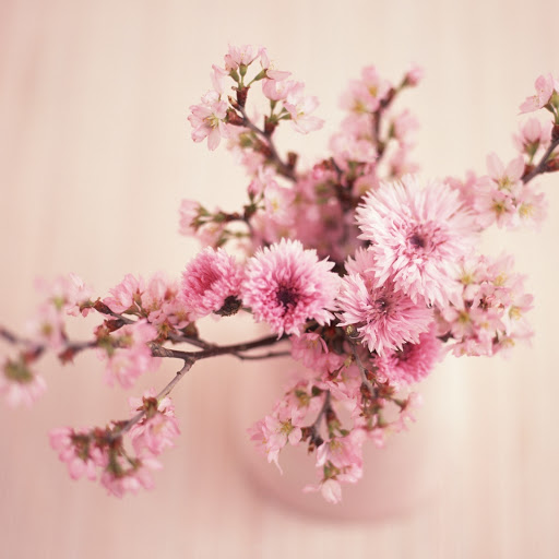 Hd-161429-ascw161429