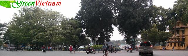 Hanoi today hanoi today