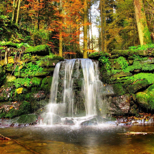 Hd-151150-ascw151150