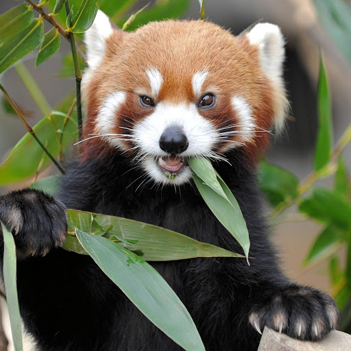 Hd-185697-ascw185697