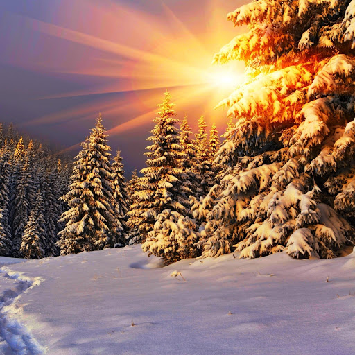 Hd-152421-ascw152421