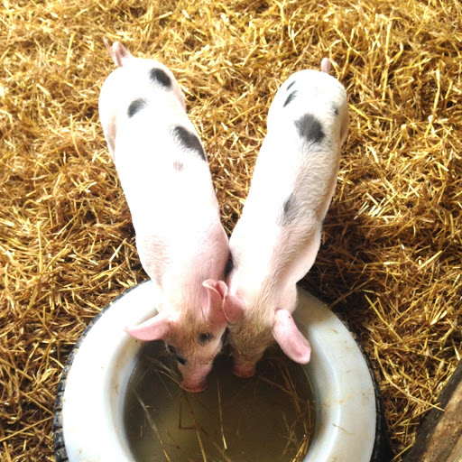 Hd-134647-ascw134647