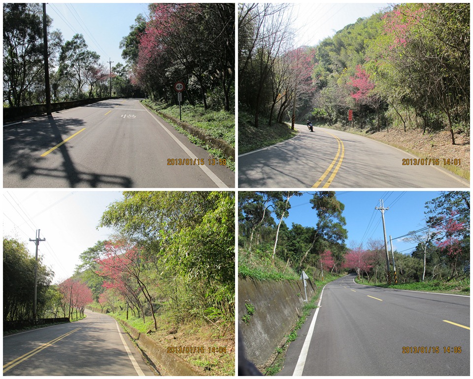 [P014.jpg]