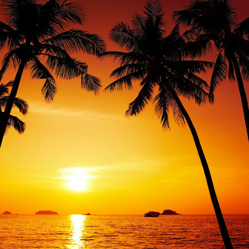 Hd-171693-ascw171693