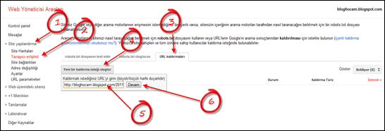 Google Web Yöneticisi Merkezi URL Kaldırma