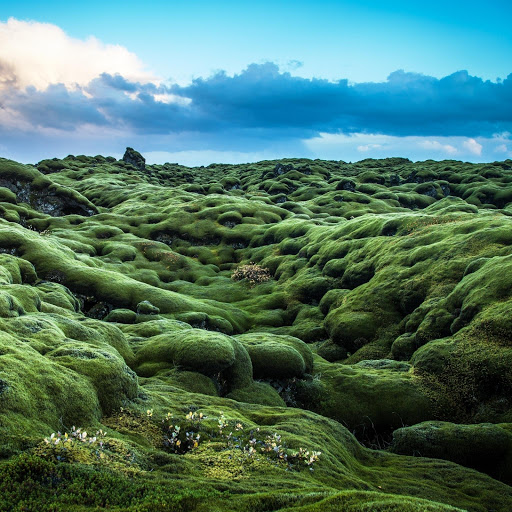 Hd-148675-ascw148675