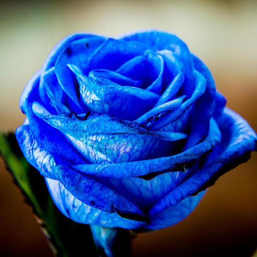 Hd-190856-ascw190856