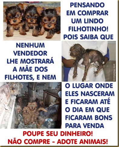 naocompre-adote naocompre-adote