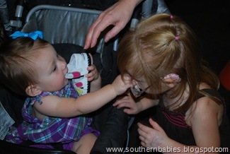 DSC_2179 DSC_2179