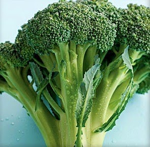 [Broccoli%255B7%255D.jpg]