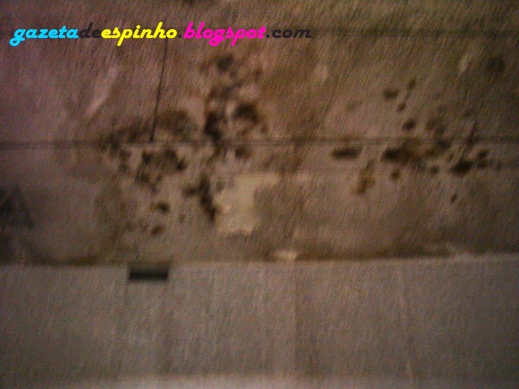 [GAZETA%2520DE%2520ESPINHO003Livro%2520MCS%255B3%255D.jpg]