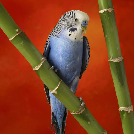 Hd-178437-ascw178437