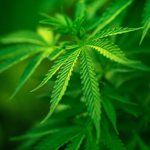 Hd-182618-ascw182618