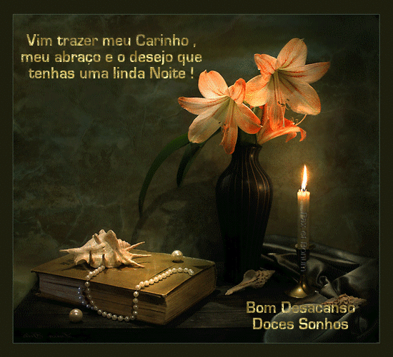 BOA_NOITE_C.S.gif