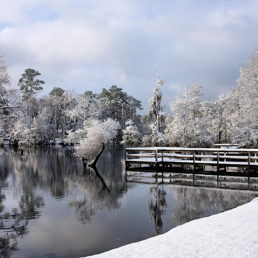 Hd-131236-ascw131236