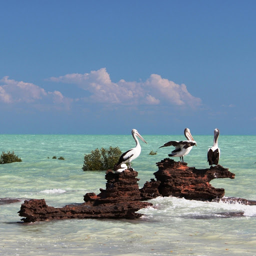 Hd-150450-ascw150450