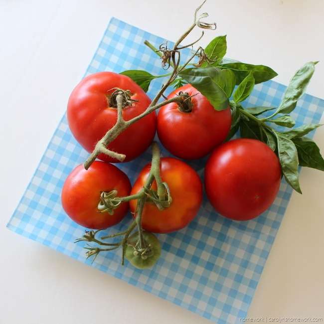 Tomato with Mozzarella and Basil Salt via homework (5)