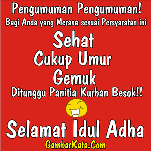 Kata kata Lucu Menghibur: kata kata unik