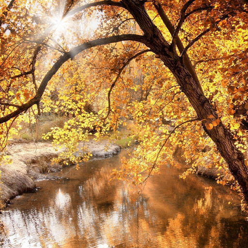 Hd-137003-ascw137003