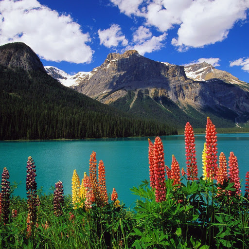 Hd-146538-ascw146538