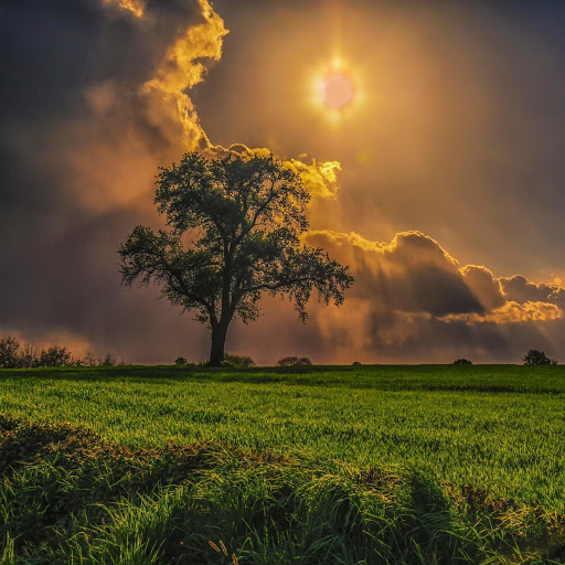 Hd-132244-ascw132244