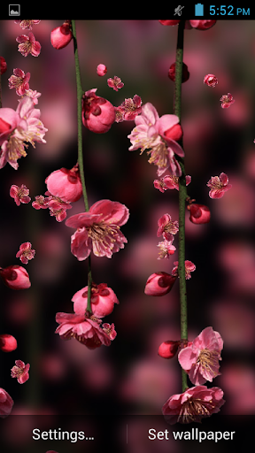 免費下載娛樂APP|Galaxy Flowers Live Wallpaper app開箱文|APP開箱王