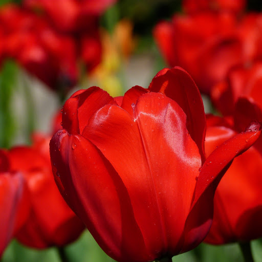 Hd-163889-ascw163889