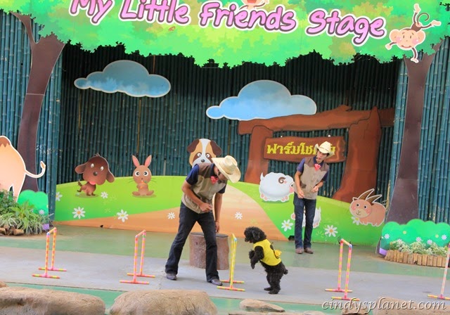 [Chok%2520Chai%2520Farm%2520Petting%2520Zoo%2520%25284%2529%255B3%255D.jpg.webp]