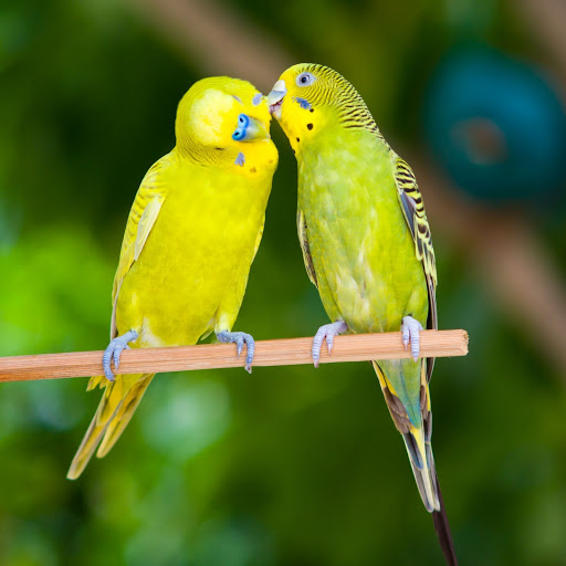 Hd-161477-ascw161477